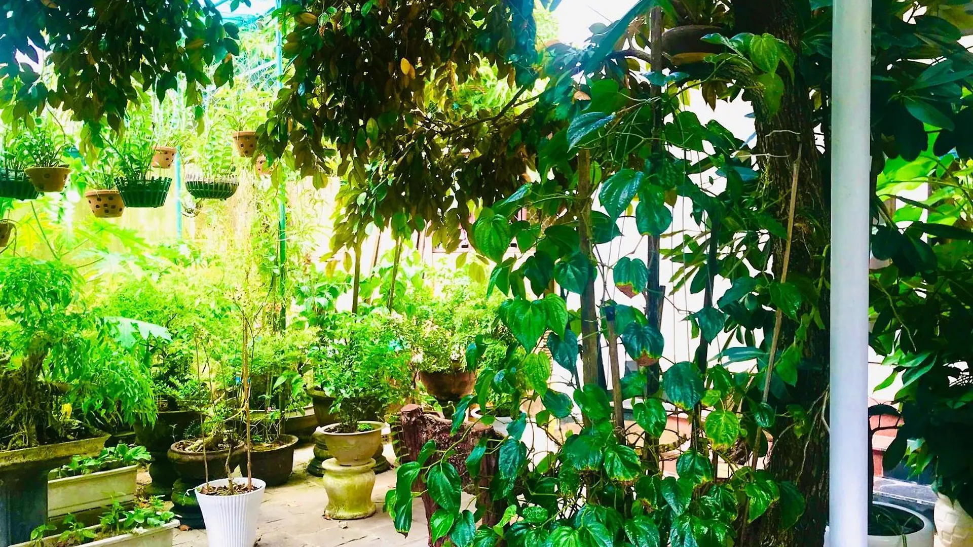 Pebble Homestay Hoi An